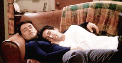 Joey and Ross napping