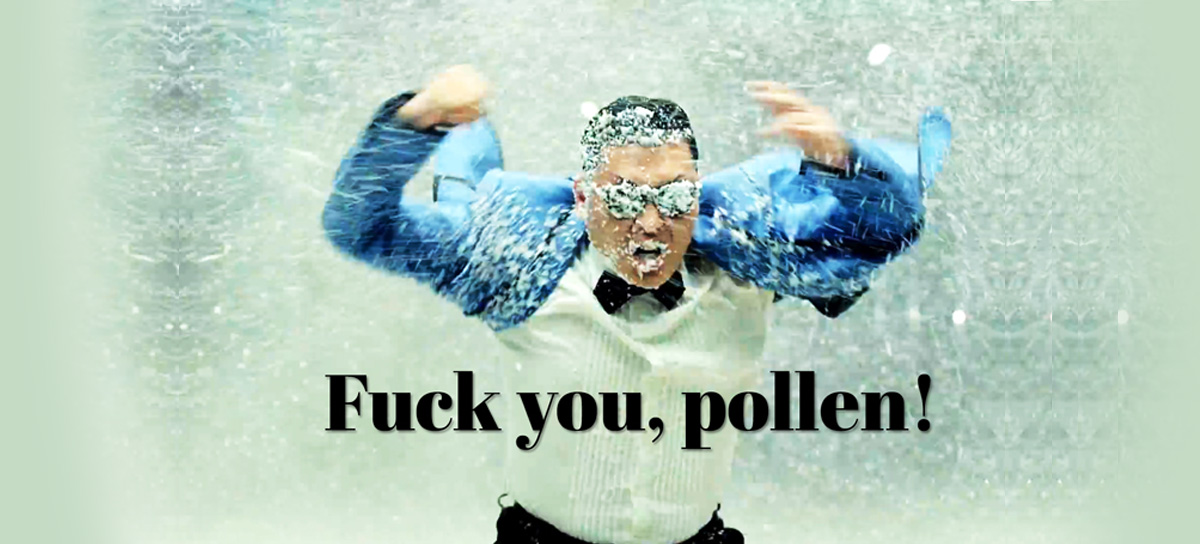 pollen bilder
