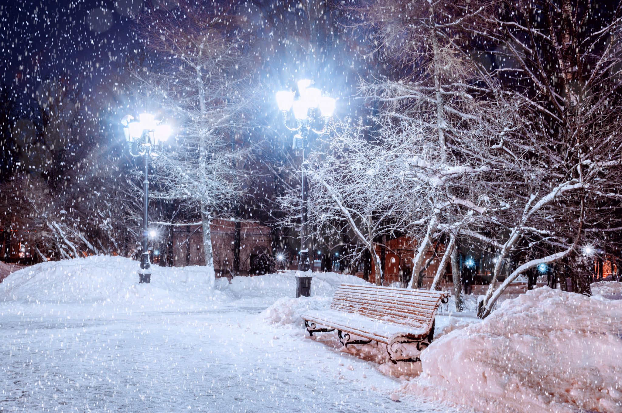 Winter night landscape - snowy bench under frosty trees