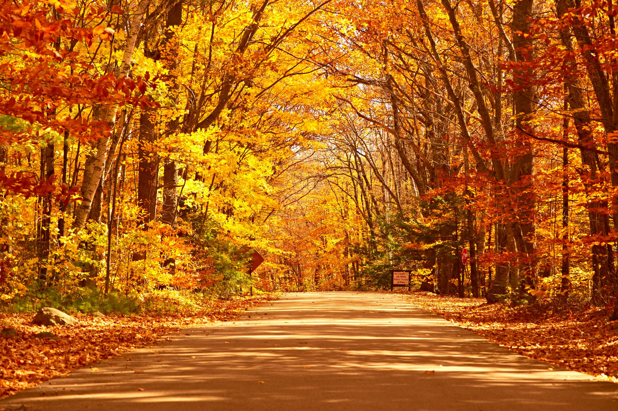 13 situationer du känner igen dig i på hösten | VeckoRevyn