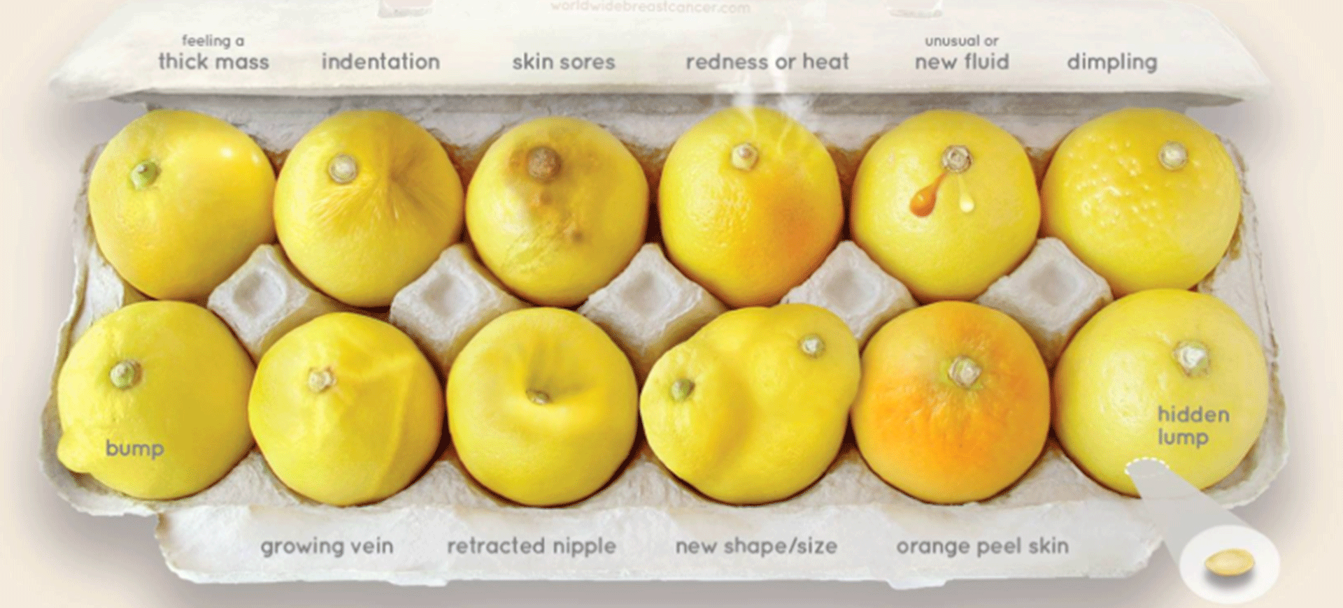 citron dragare
