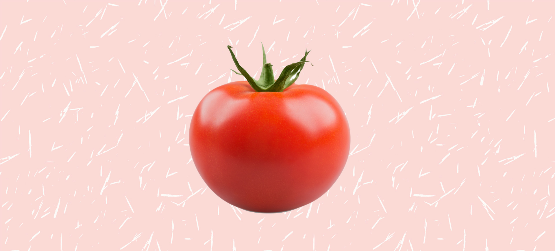 tomat foundation