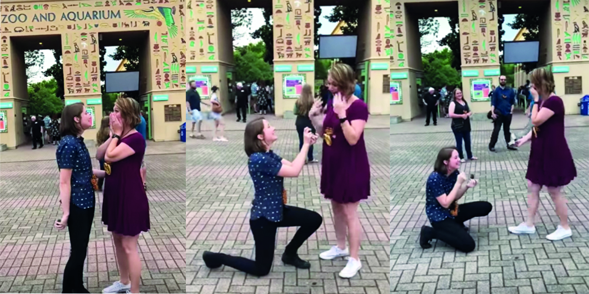 double proposal