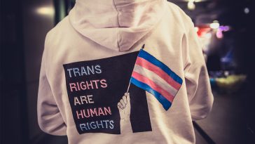 RFSL uppdrag gransknign transvård