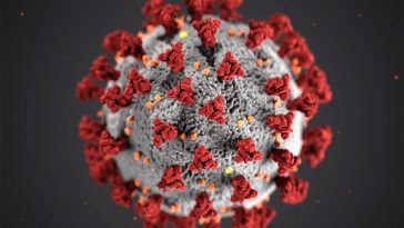 Påståenden om coronaviruset