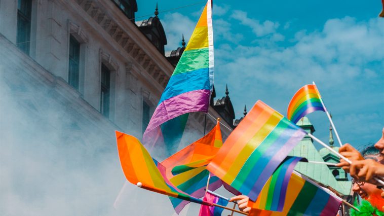 vad betyder pansexuell flagga