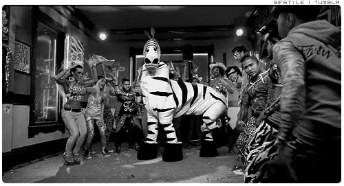 shuffle zebra dance party reaction gif
