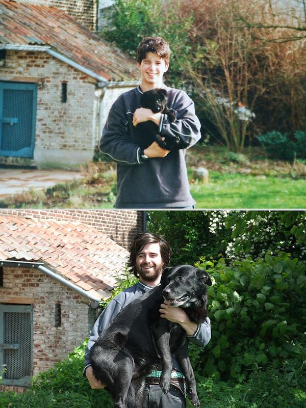 pets before after 7 1