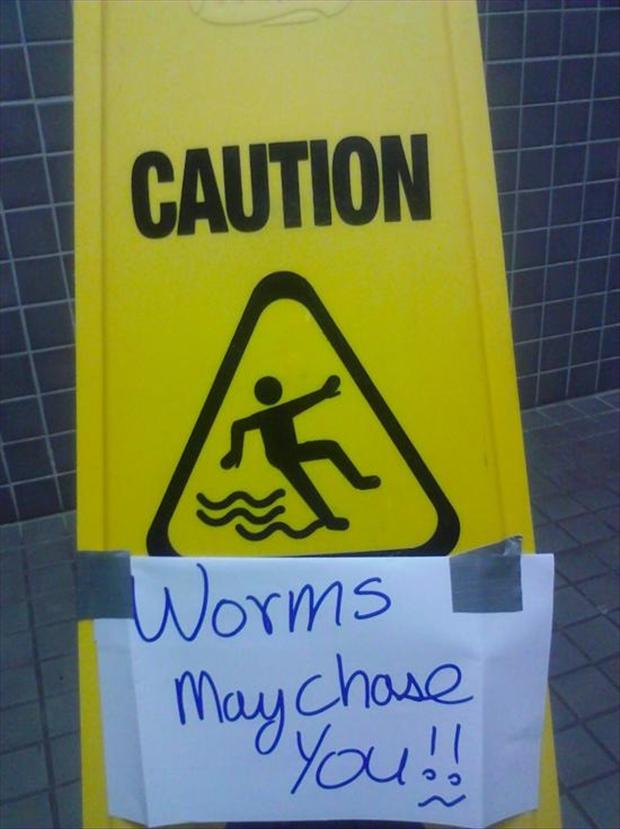 chasing worms wet floor